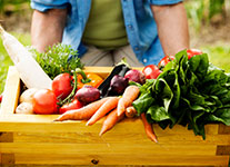 shop-img2_home3-2.jpg