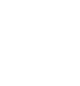 partner-3-1.png