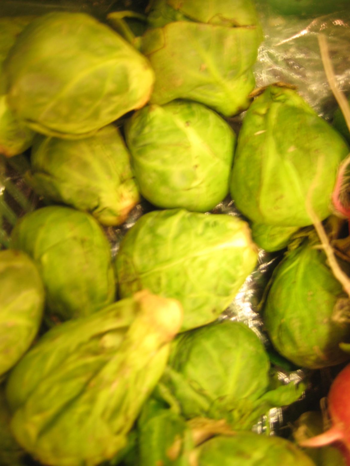 Gemüse-5-012.jpg