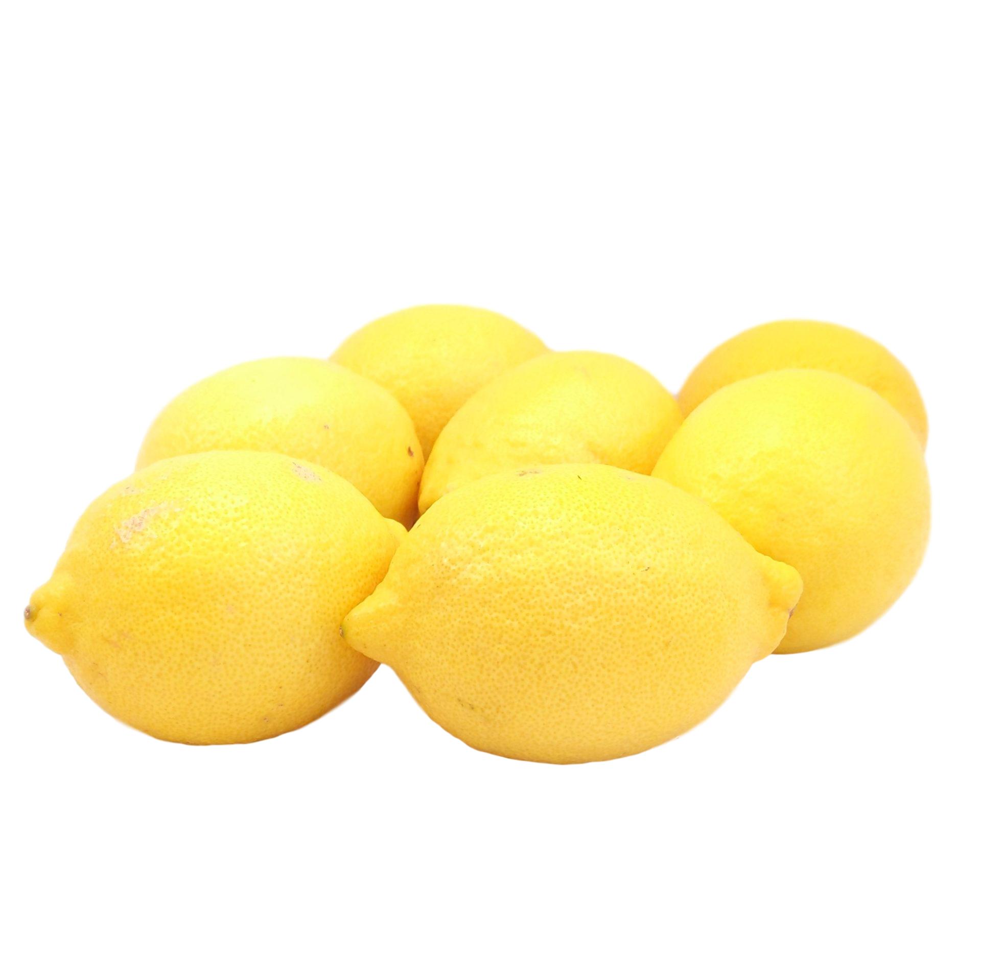 Bio Zitronen online kaufen & bestellen » Bio Grauer Shop
