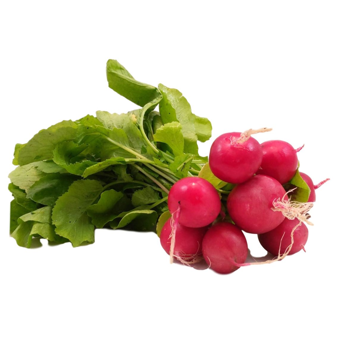 Artemisia annua ‚Anamed‘ online kaufen & bestellen » Bio Grauer Shop