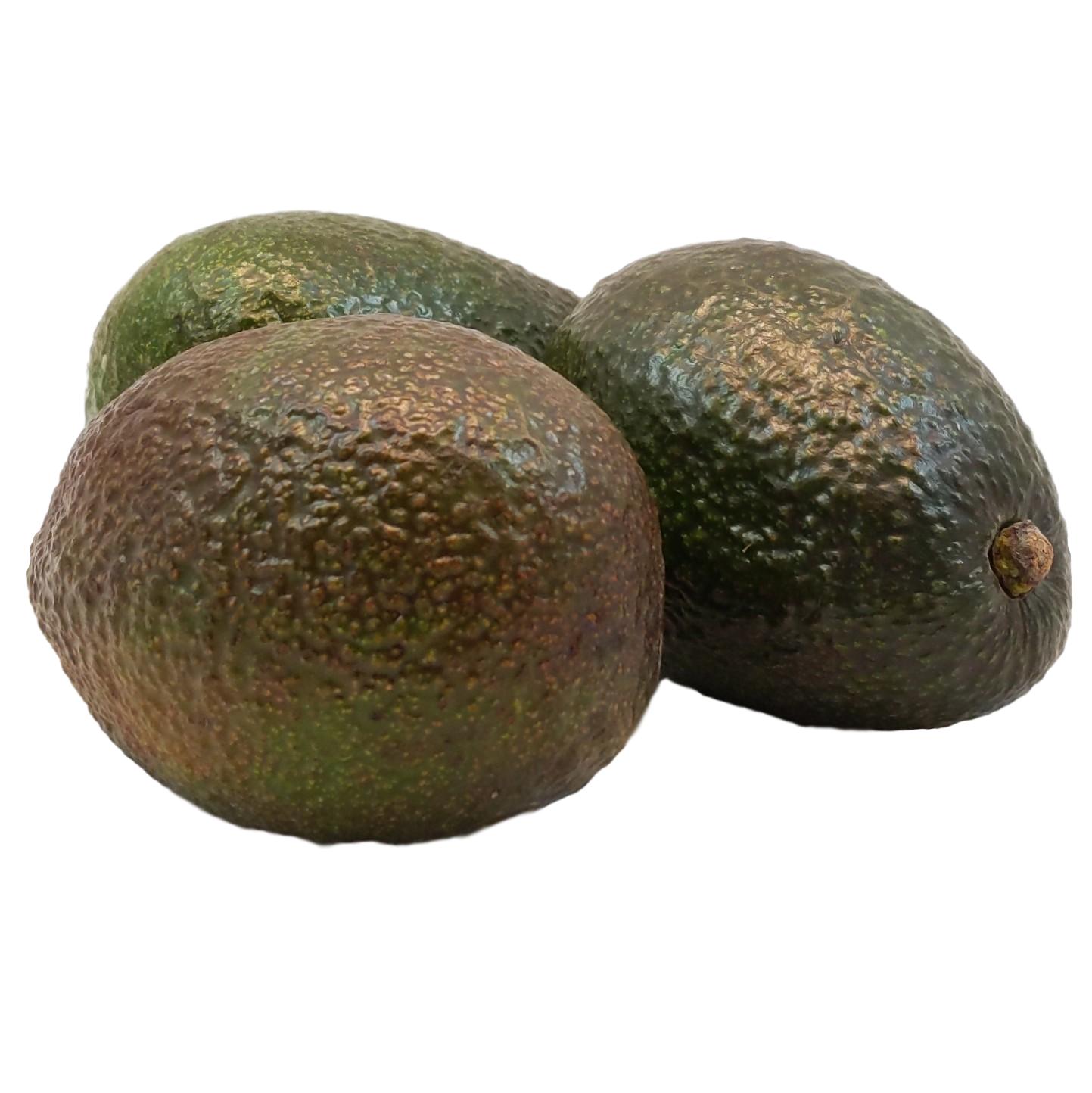 Bio Avocado online kaufen & bestellen » Bio Grauer Shop