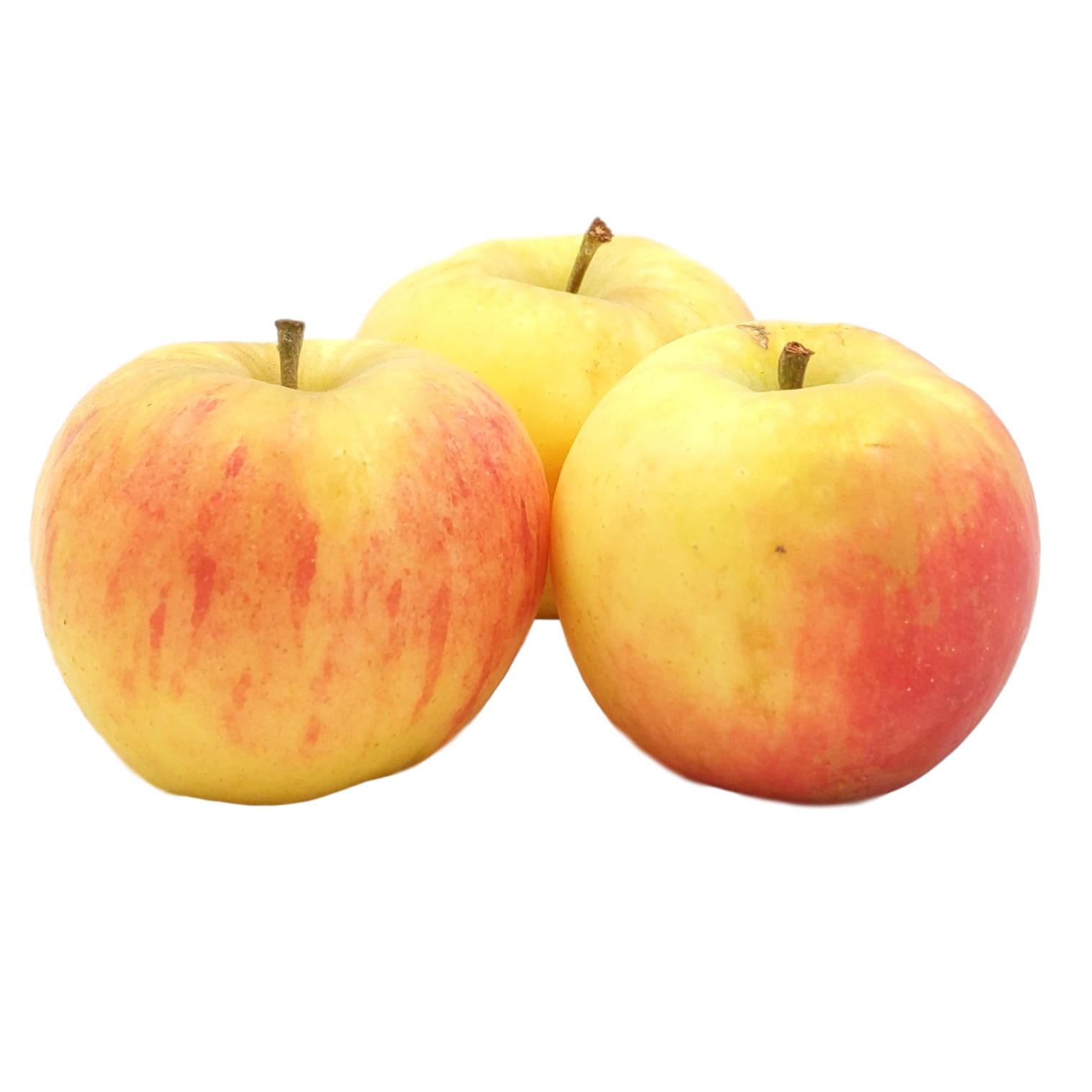 Bio Äpfel (säuerlich) online kaufen & bestellen » Bio Grauer Shop