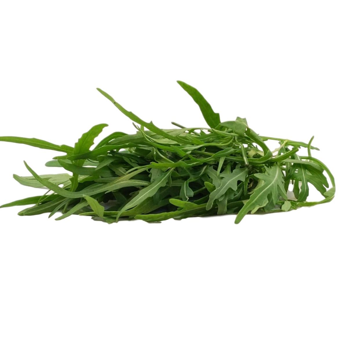 Artemisia annua online kaufen & bestellen » Bio Grauer Shop